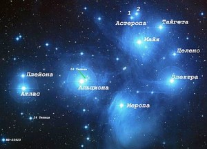 Созвездие Плеяд